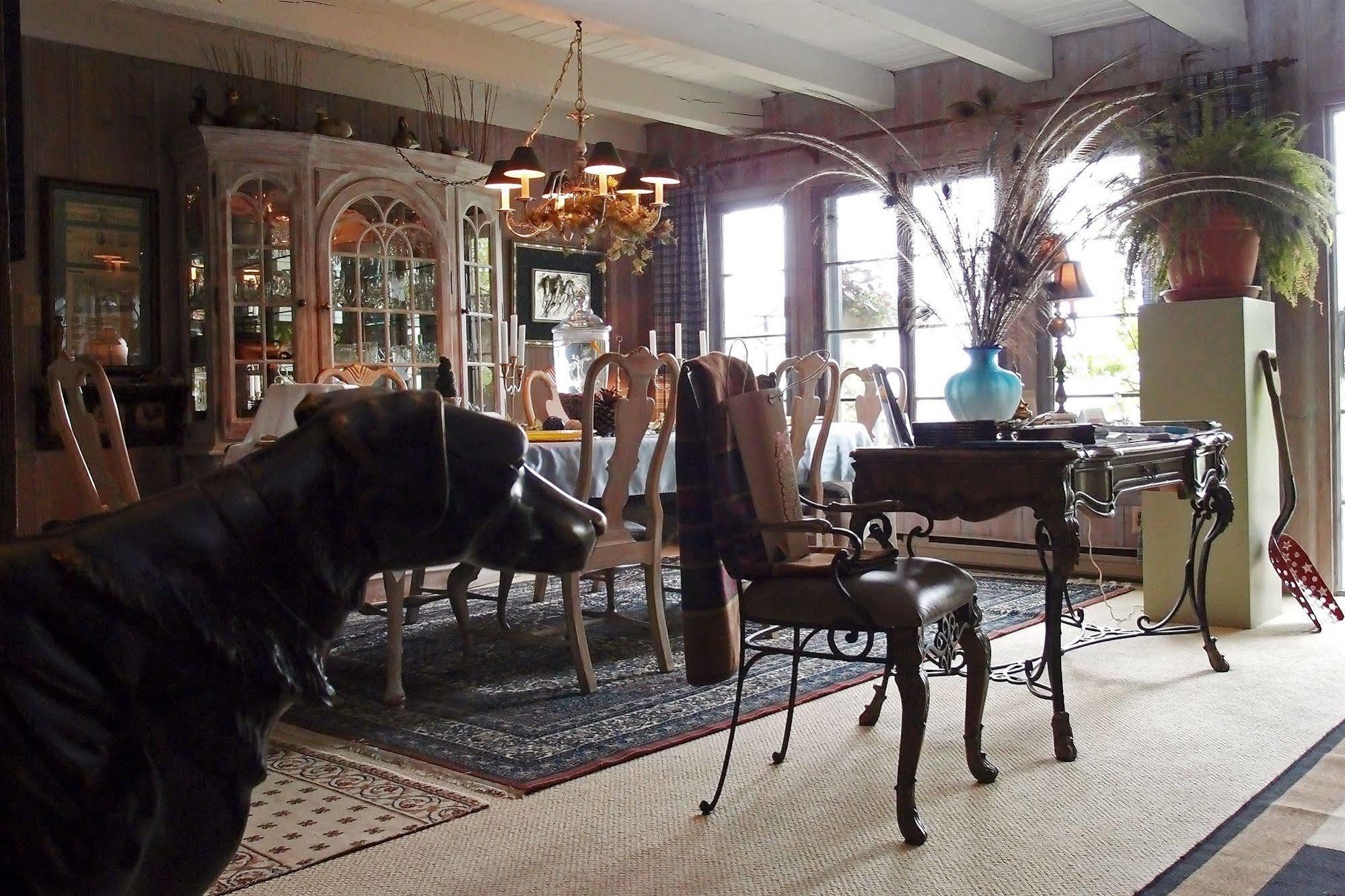 Le Petit Clocher Gite Touristique B & B Saint-Sauveur Luaran gambar